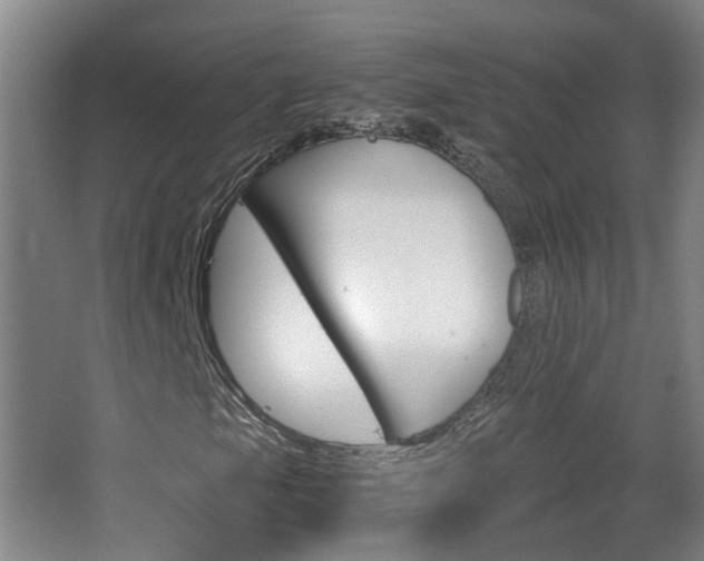 X0000063521105200601201118