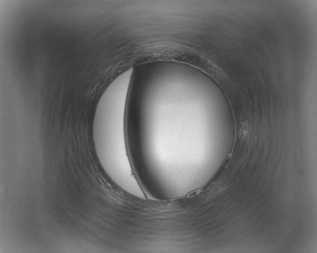 X0000063521108200601201118