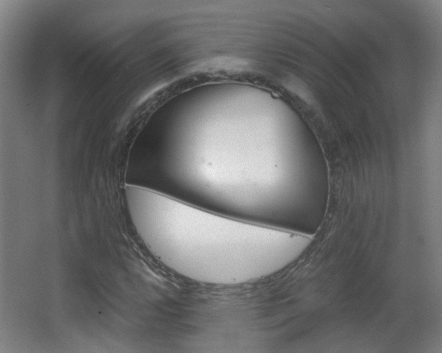 X0000063521112200601201118