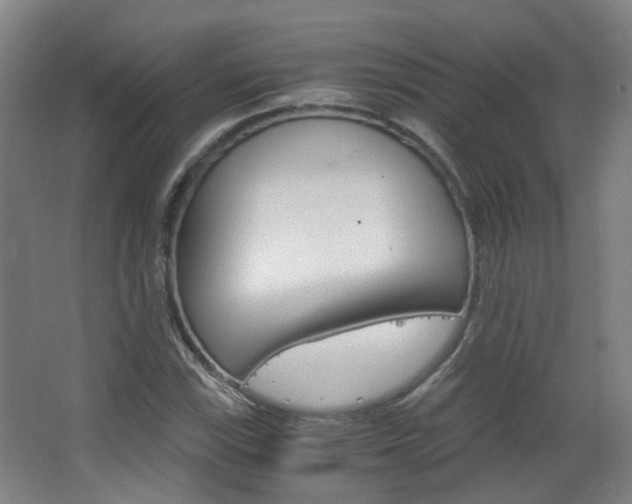 X0000063521115200601201118