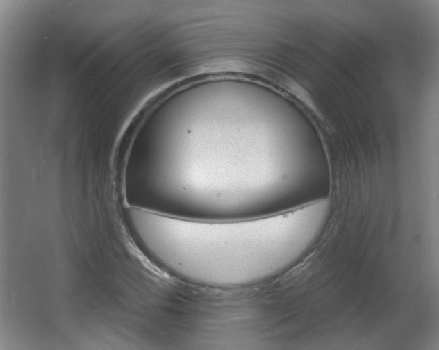 X0000063521116200601201118