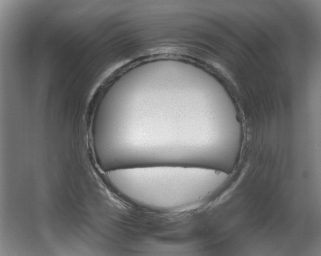 X0000063521117200601201118