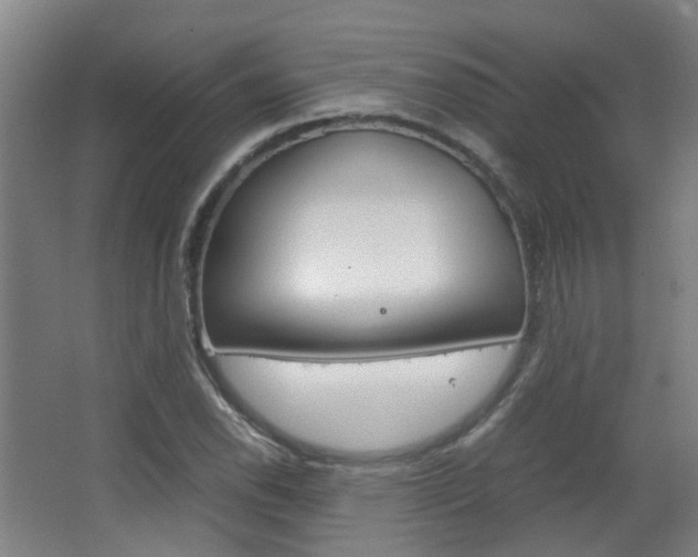 X0000063521118200601201118