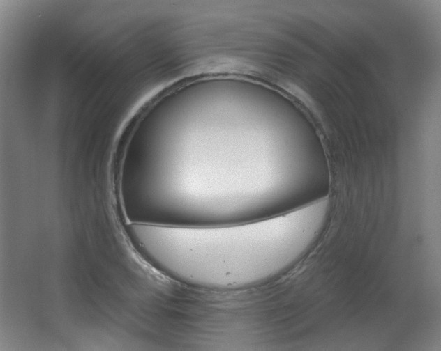 X0000063521120200601201118