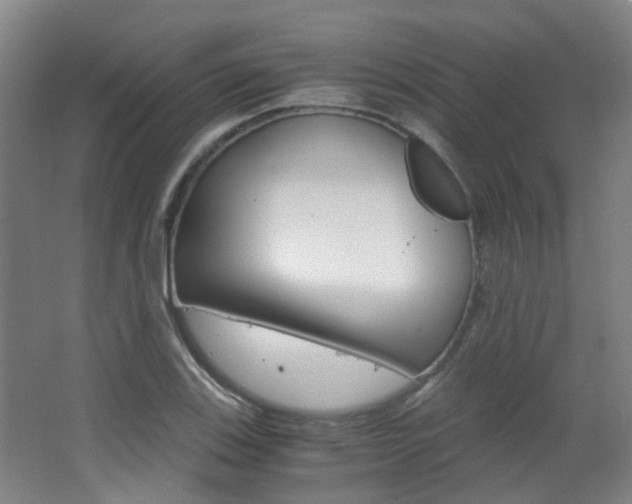 X0000063521123200601201118