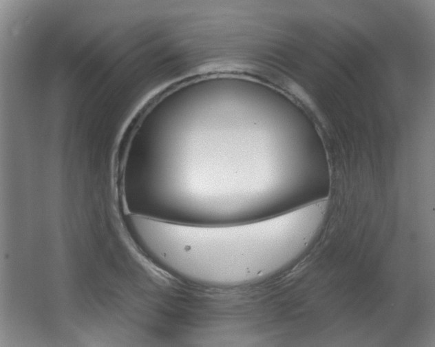 X0000063521124200601201118