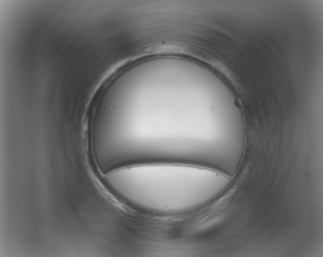 X0000063521126200601201118