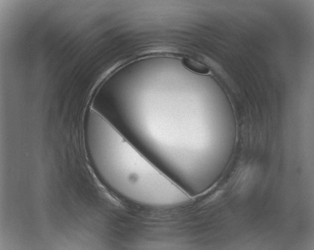 X0000063521129200601201118