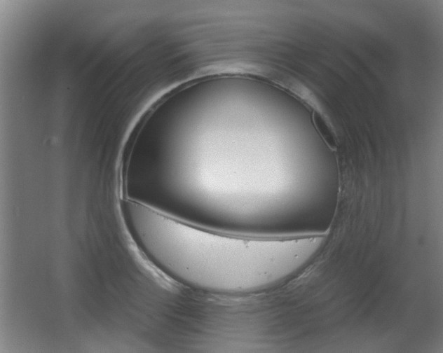 X0000063521132200601201118