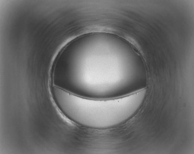 X0000063521136200601201118