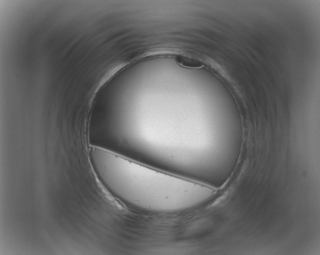 X0000063521137200601201118