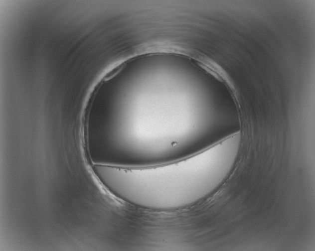 X0000063521144200601201118