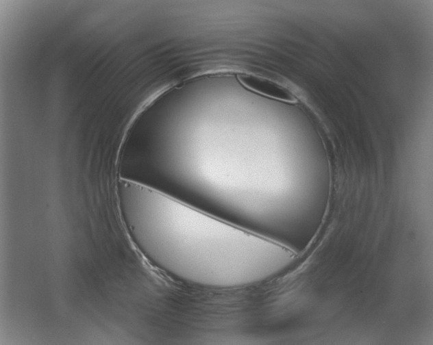 X0000063521145200601201118
