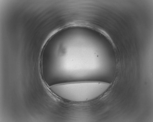 X0000063521146200601201118