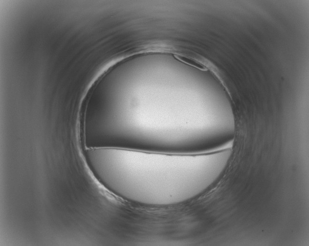 X0000063521147200601201118