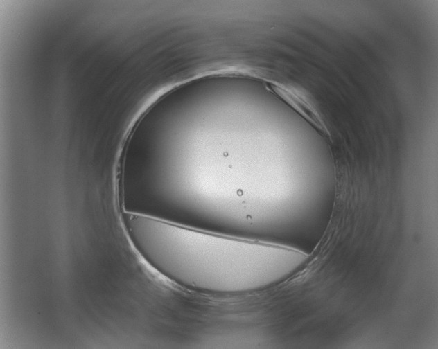 X0000063521151200601201119