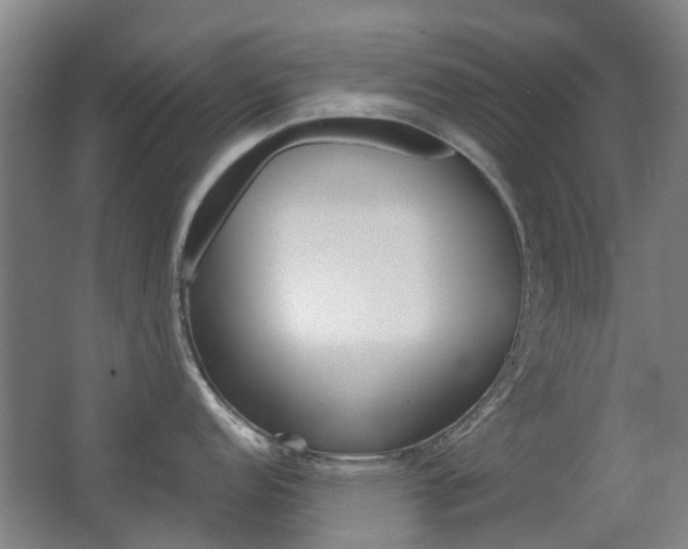 X0000063521152200601201119
