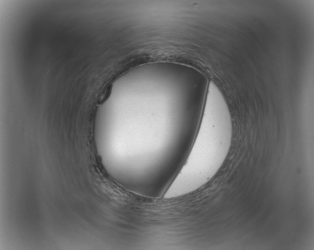X0000063521153200601201118