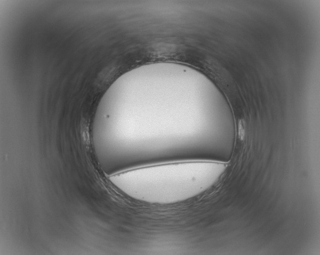 X0000063521155200601201118