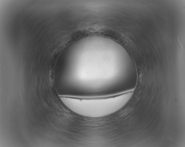 X0000063521156200601201118