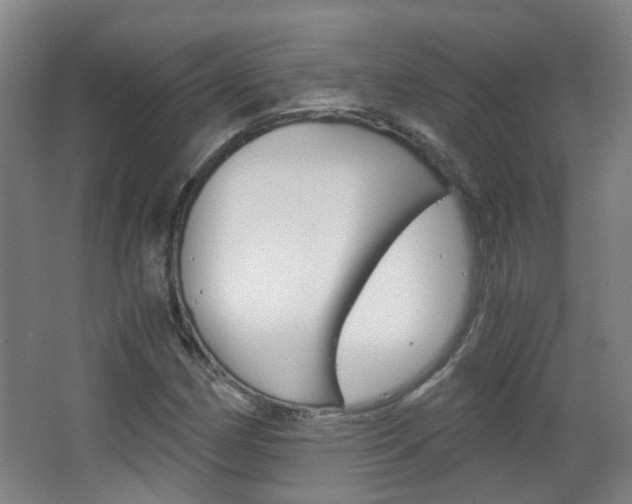 X0000063521162200601201118