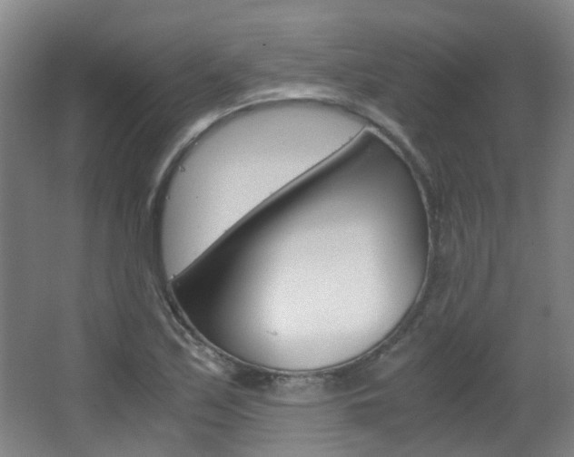 X0000063521171200601201117