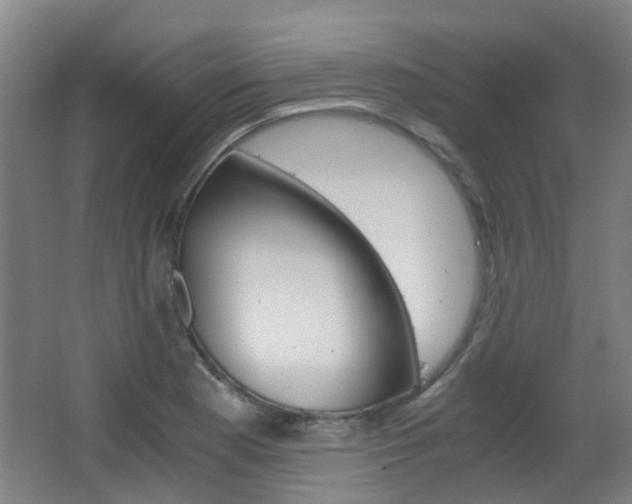 X0000063521177200601201117