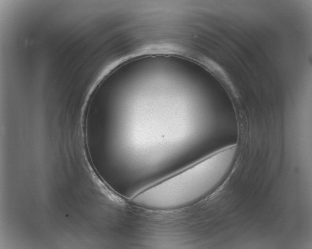 X0000063521192200601201117