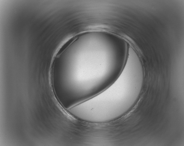 X0000063521196200601201117