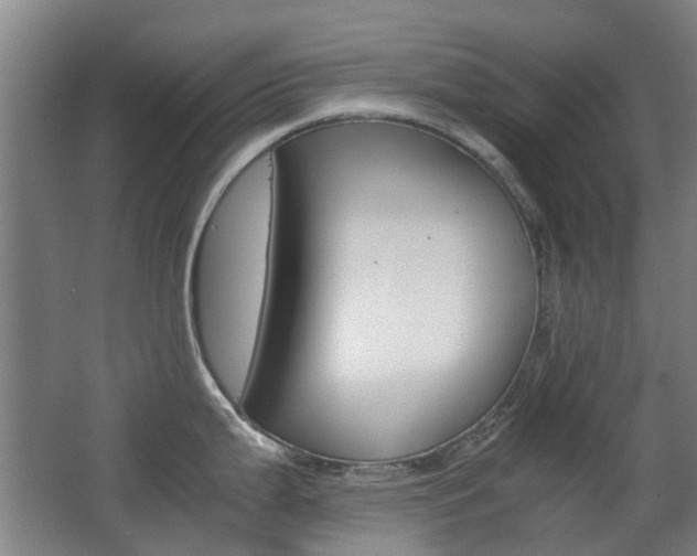 X0000063521199200601201117