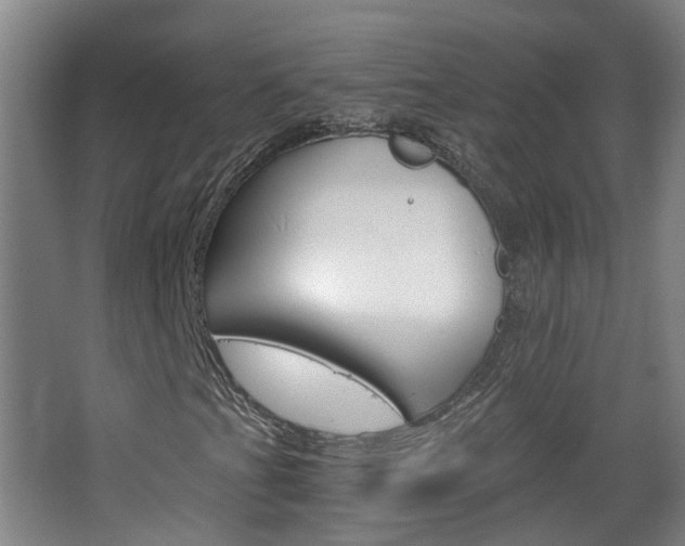 X0000063521201200601201116