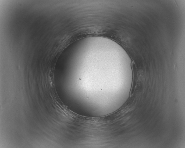 X0000063521202200601201116