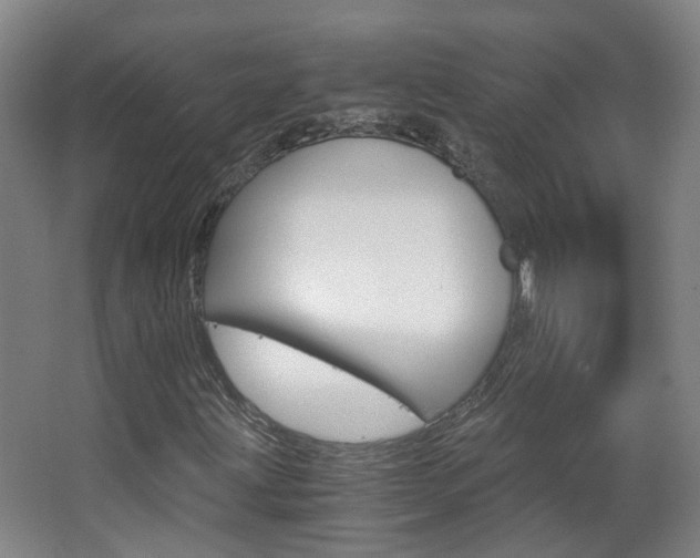 X0000063521203200601201116