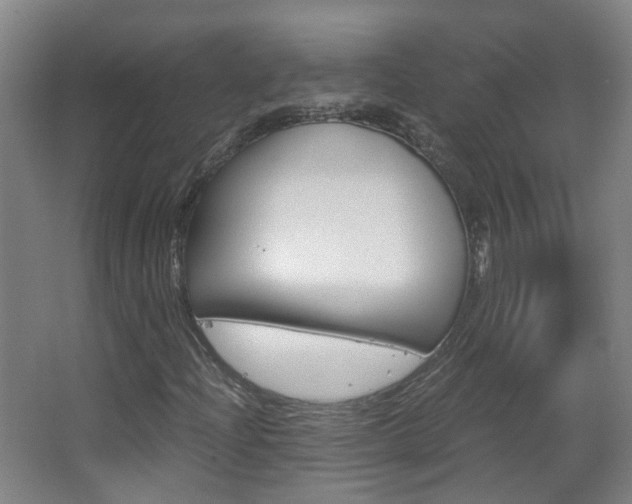 X0000063521204200601201116