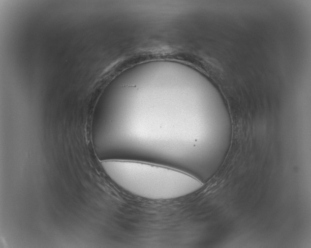 X0000063521205200601201116