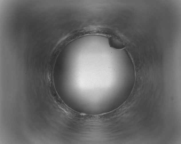 X0000063521206200601201116