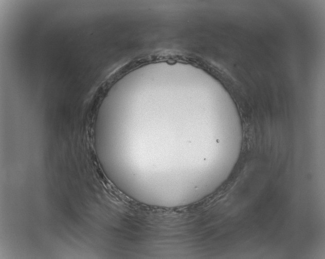 X0000063521207200601201116