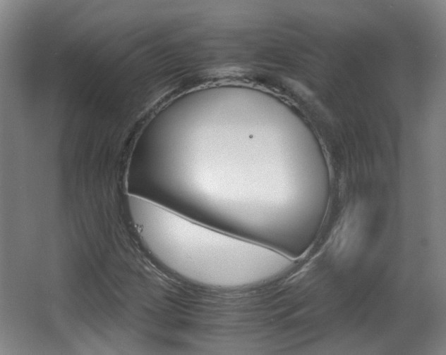 X0000063521209200601201116