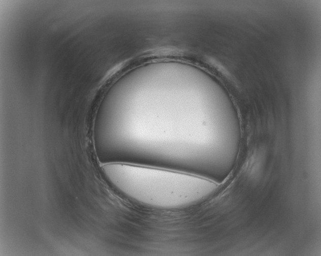 X0000063521213200601201116