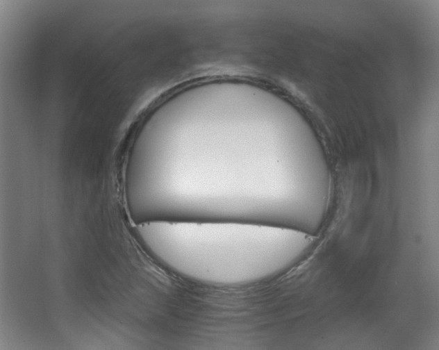 X0000063521215200601201116