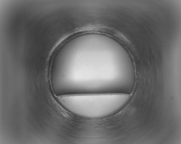 X0000063521216200601201116