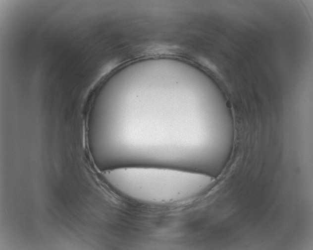 X0000063521219200601201116