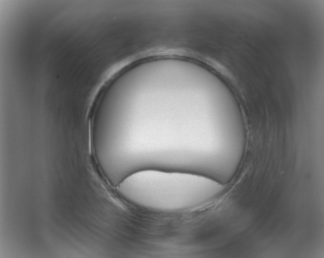 X0000063521223200601201116