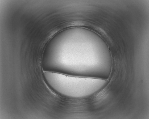 X0000063521225200601201116