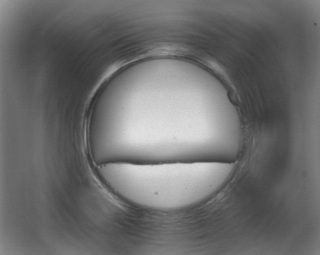 X0000063521227200601201116
