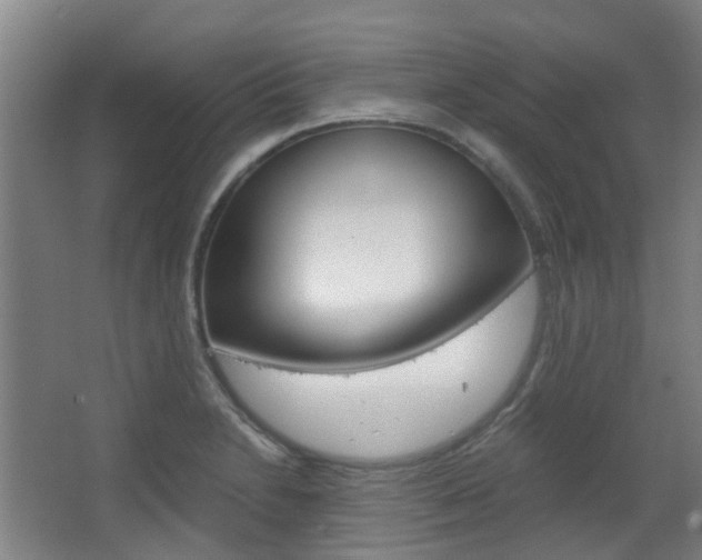 X0000063521230200601201116