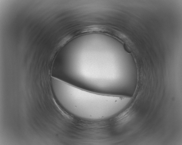 X0000063521233200601201117