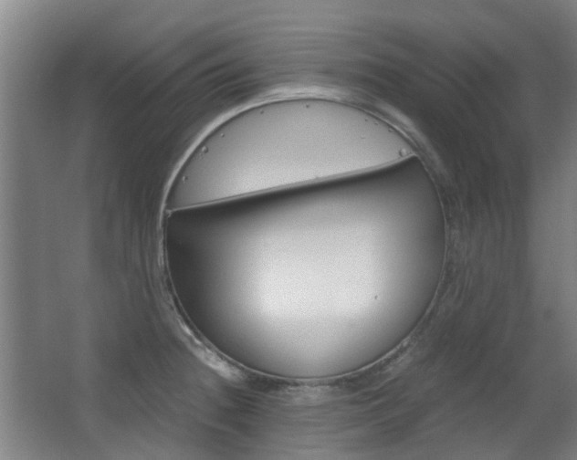 X0000063521236200601201117