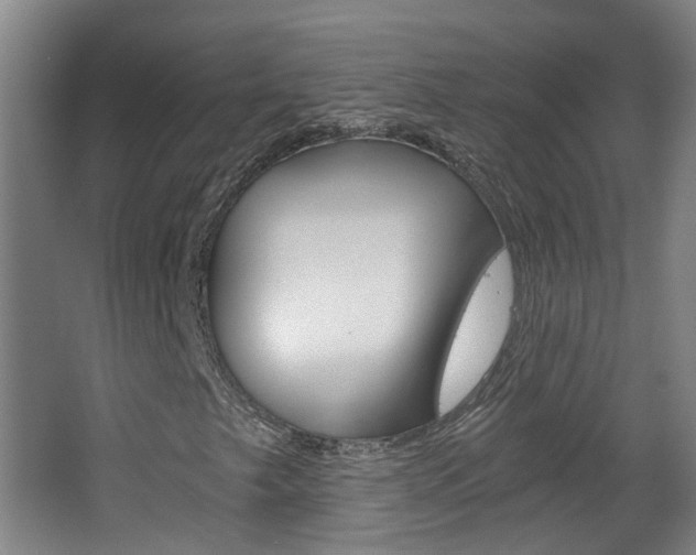 X0000063521249200601201116