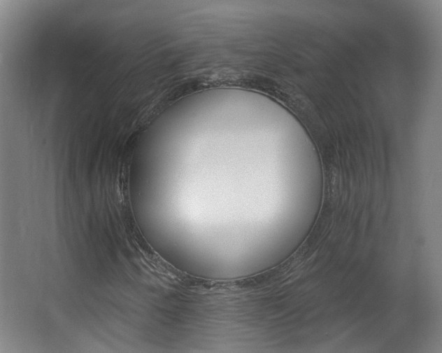 X0000063521250200601201116
